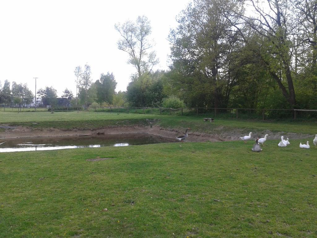Chata Zahrada Madeta Veseli nad Luznici Luaran gambar