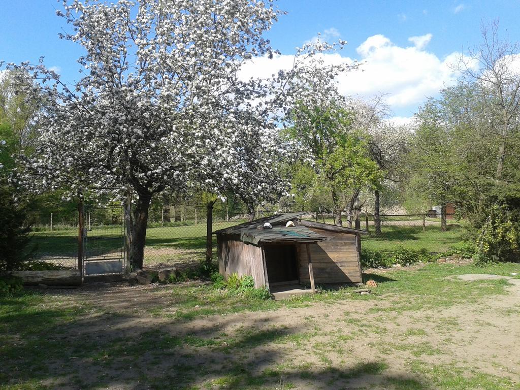 Chata Zahrada Madeta Veseli nad Luznici Luaran gambar