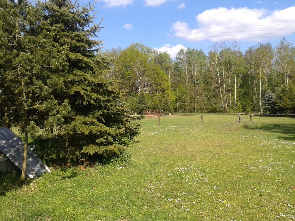 Chata Zahrada Madeta Veseli nad Luznici Luaran gambar